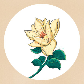手繪黃色花朵中國風(fēng)插畫