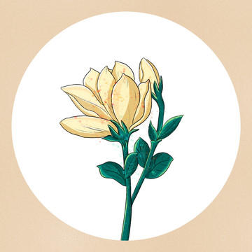 中國(guó)風(fēng)黃色手繪花朵插畫(huà)
