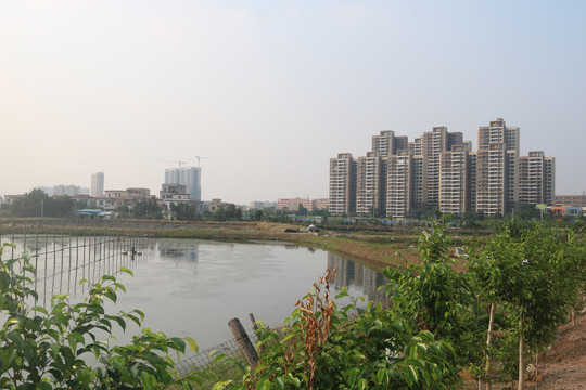 中山市横栏镇街景