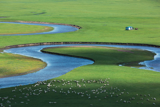 草原牧场弯曲河流羊群