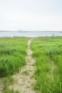 森系小道场景