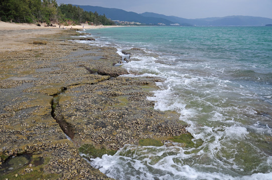 海岸线