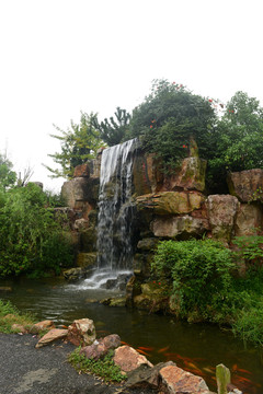 池州杏花村风景