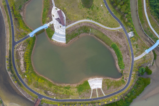 大鹏新大河禾塘湿地公园