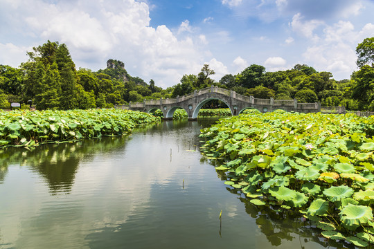 柳州雀儿山公园风光