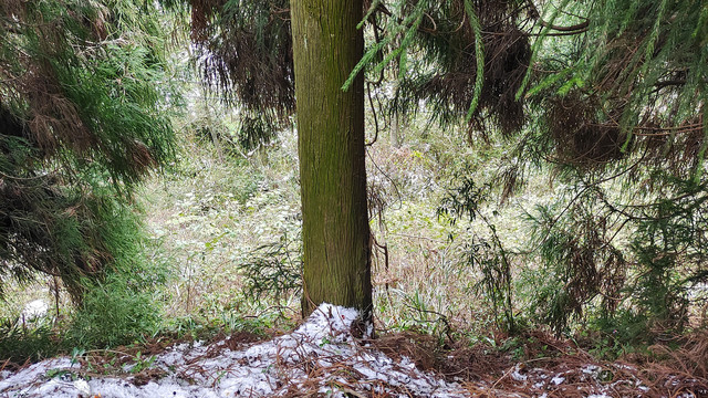 白雪皑皑