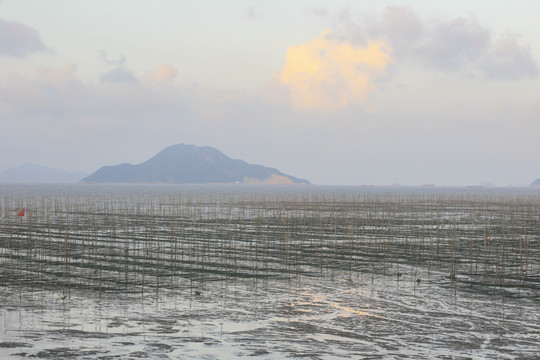 浙江洞头海上滩涂养殖