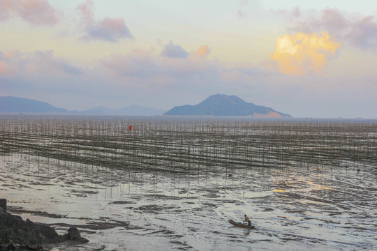 浙江洞头海上滩涂养殖