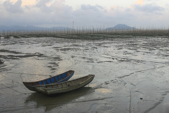 浙江洞头海上滩涂养殖