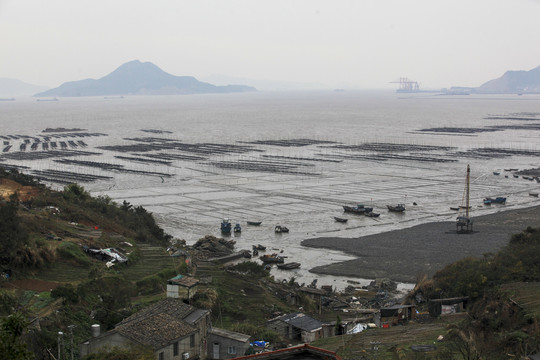 浙江洞头海上滩涂养殖