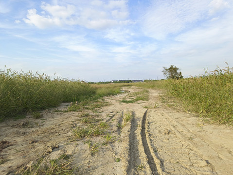 荒滩泥巴路