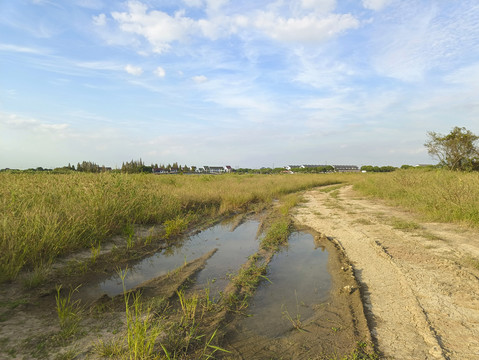 荒滩泥路草地