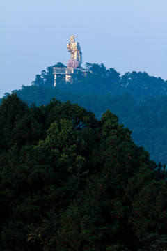 重庆南山金鹰