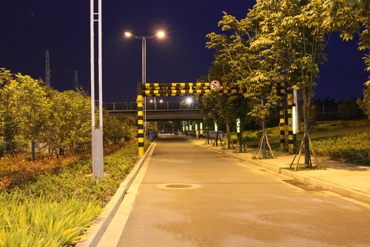 夜晚郊外的路灯道路风景