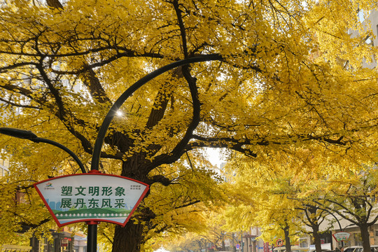 城市风采