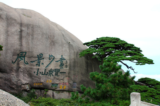 黄山迎客松