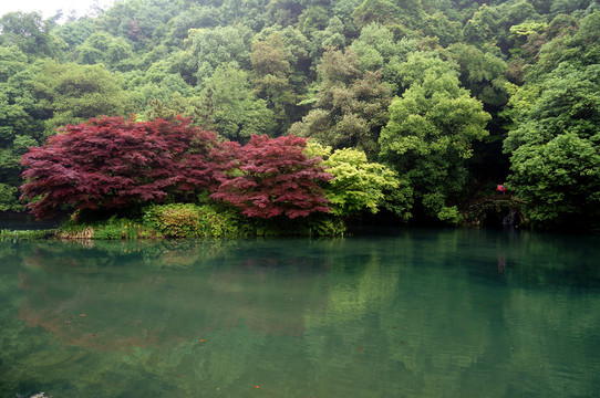 浙江乌镇水上小镇美景