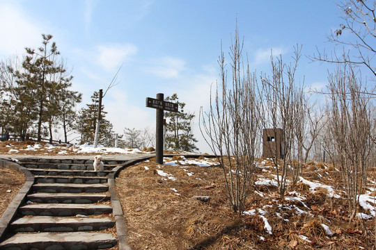 北京公园冬季雪景