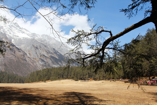 云南玉龙雪山云杉坪风景