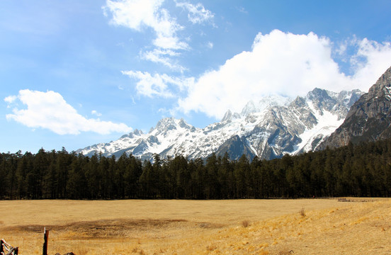 云南玉龙雪山云杉坪风景