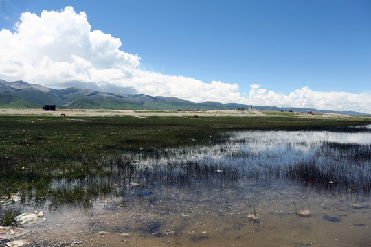 青海祁连山卓尔山高原