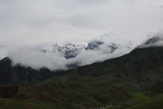 青海祁连山卓尔山草原