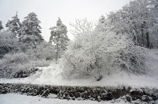 峨眉山冬季大雪银装素裹