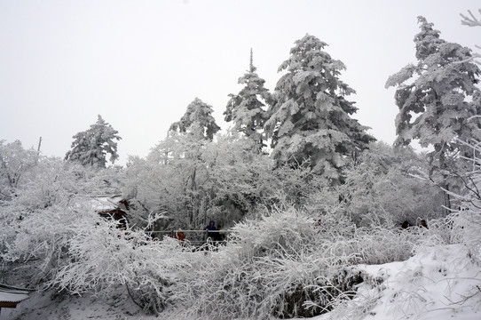 峨眉山冬季大雪银装素裹