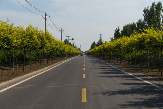 乡村振兴乡村公路国道省道