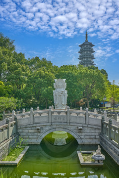 上海安亭菩提禅寺一角