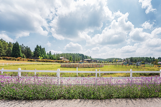 花园草地田园风光