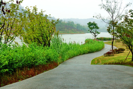 明月湖步道