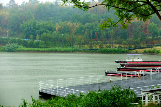 雨中明月湖