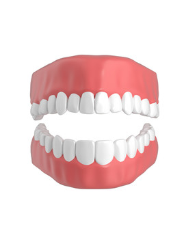 3D牙齿模型牙齿健康牙齿美容