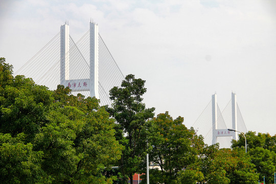 远眺上海南浦大桥