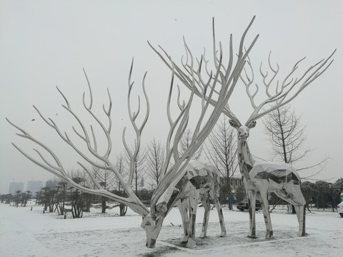 初雪