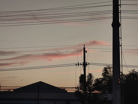 电线杆粉色天空日落