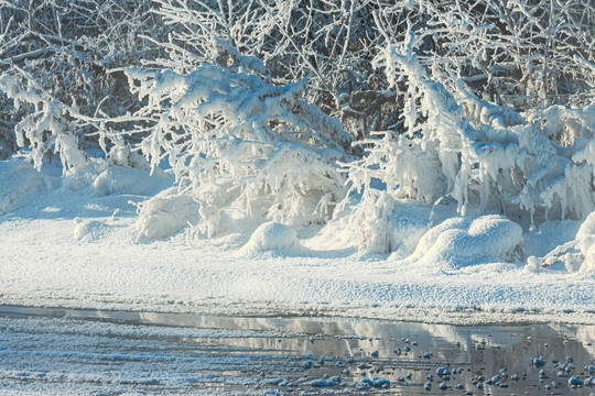 冰雪河边雾凇