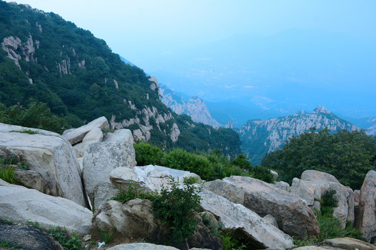 泰山风景