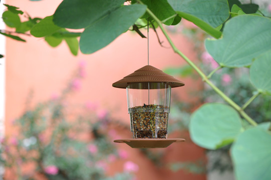 户外悬挂着的自动喂鸟投食器