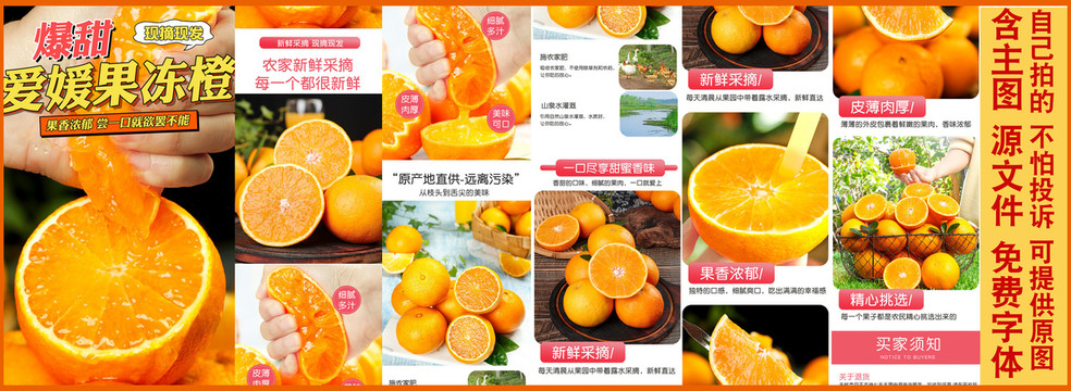 愛媛果凍橙詳情