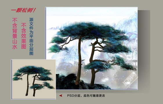 古風黃山松樹插畫