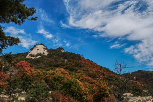 宽甸大古岭村大缸山