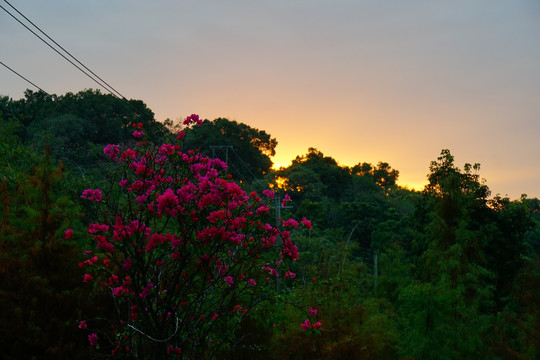 郊野公园的夕阳