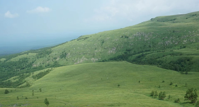 高山苔原