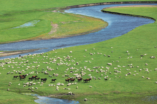 草原夏天牧场羊群马群河流