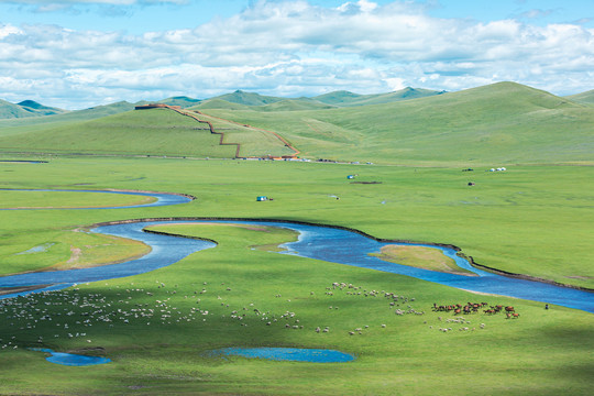 夏季草原河流牧场放牧羊群马群
