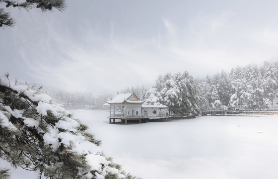 如琴湖雪景