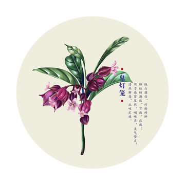 鬼燈籠