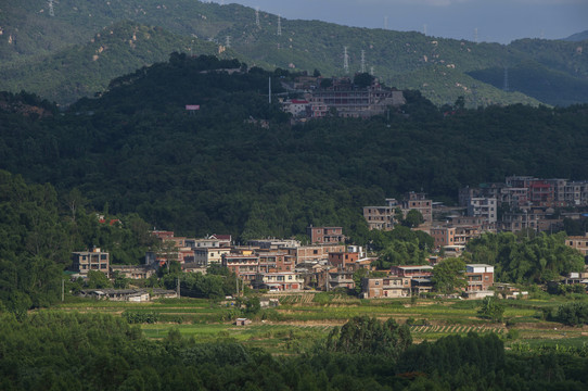 闽南农村风景